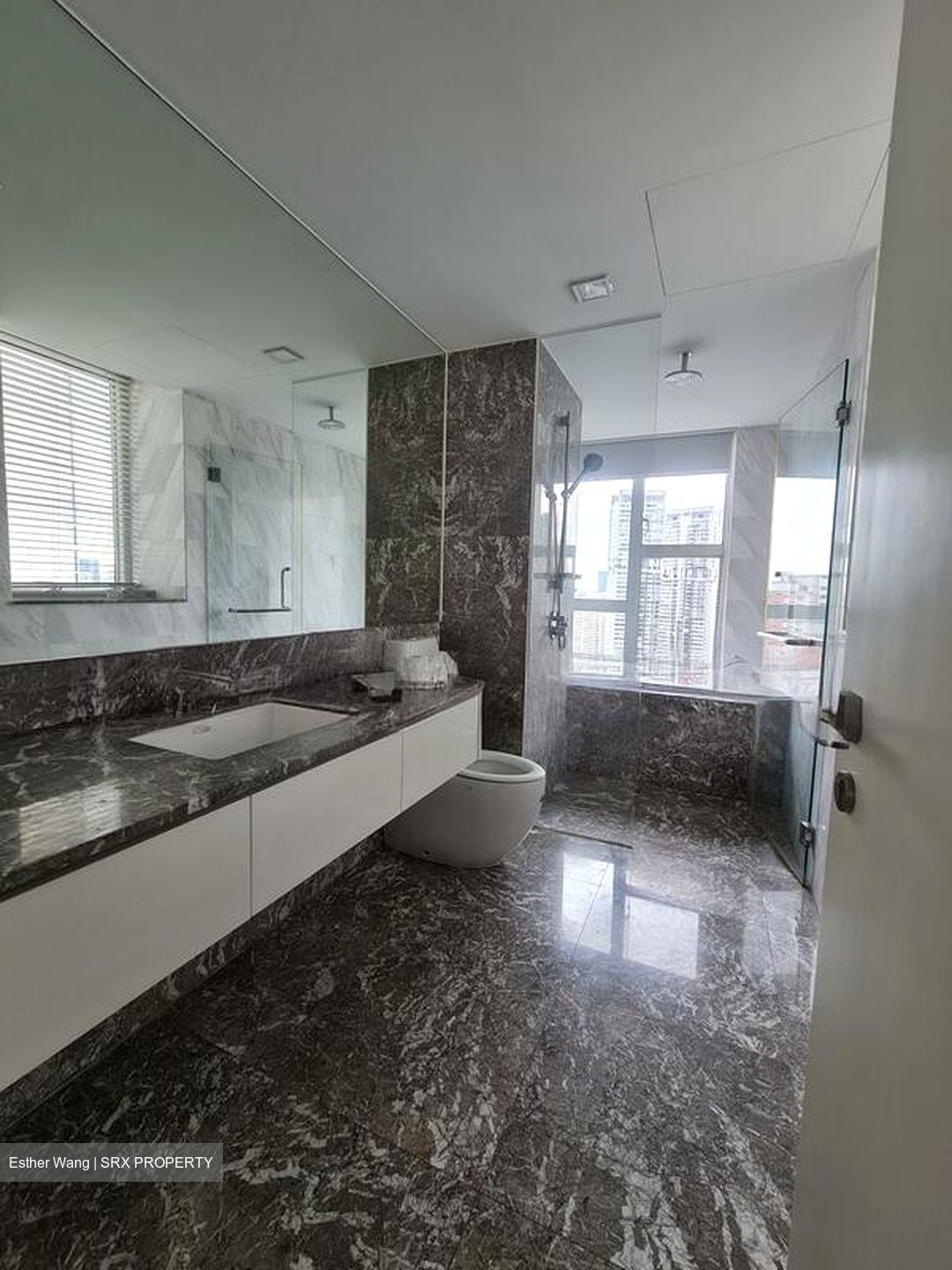 Sky@Eleven (D11), Condominium #504052821